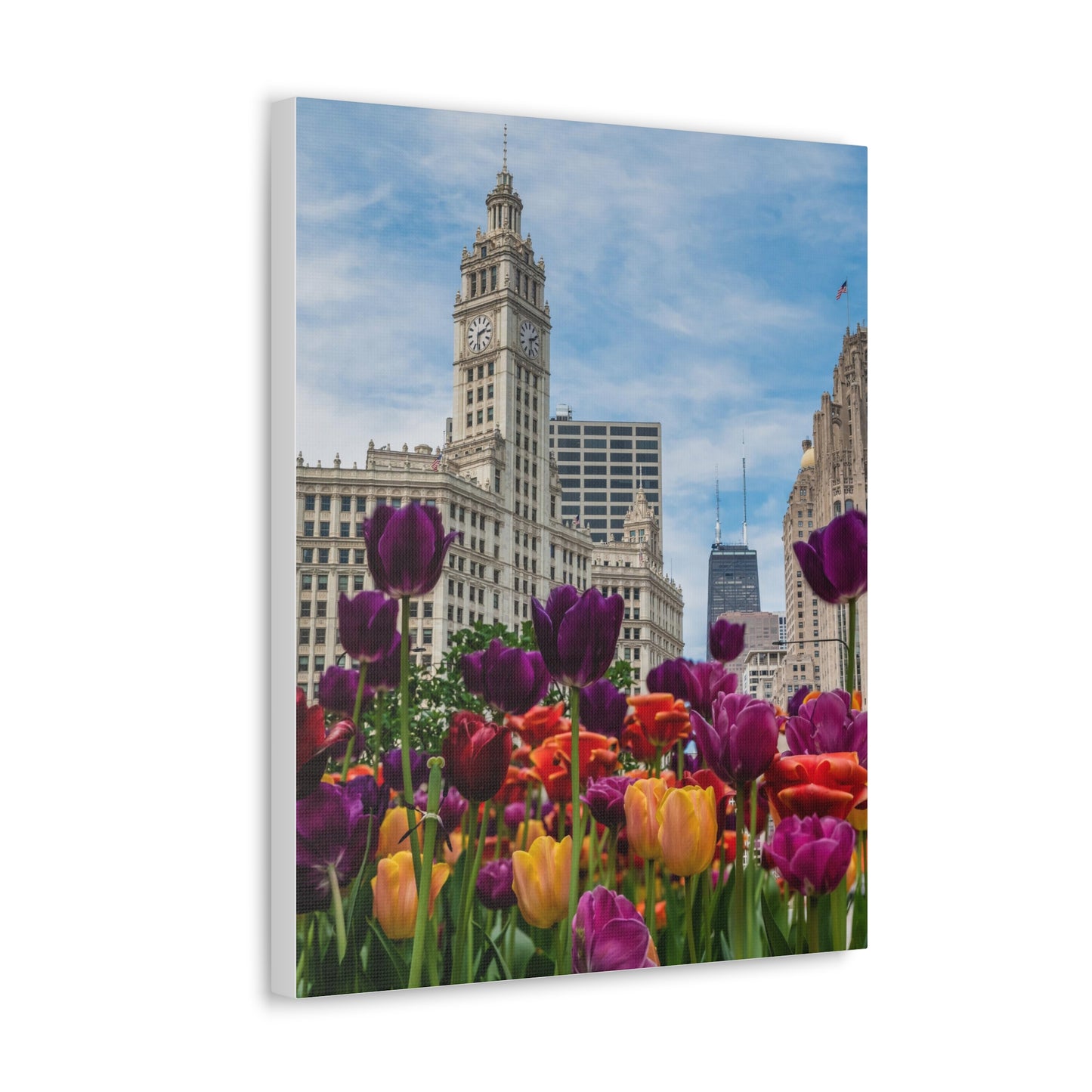 Wrigley Building with Spring Tulips, Chicago - Canvas Wall Print (Free Shipping)