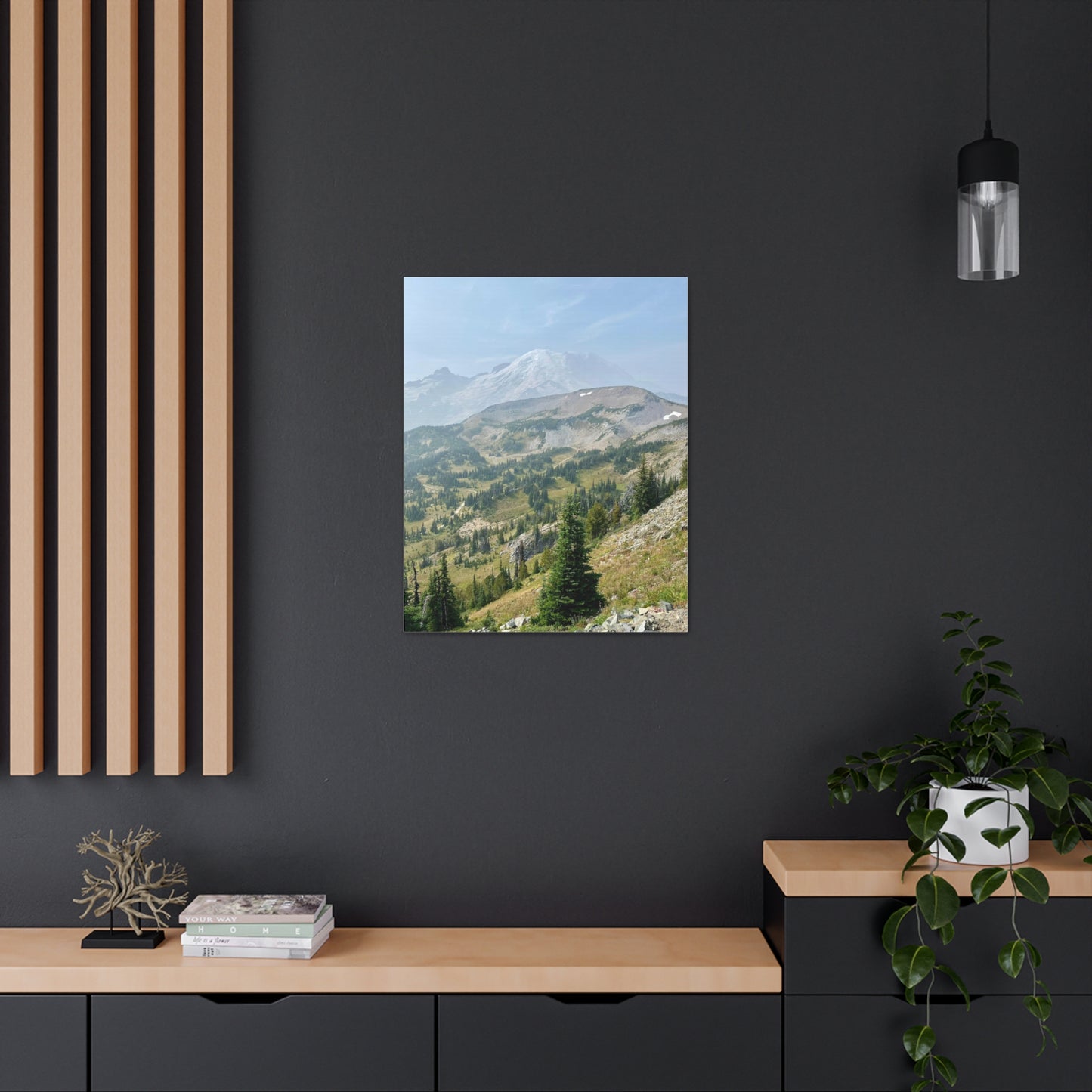 Mount Rainier National Park, Washington - Canvas Wall Print (Free Shipping)