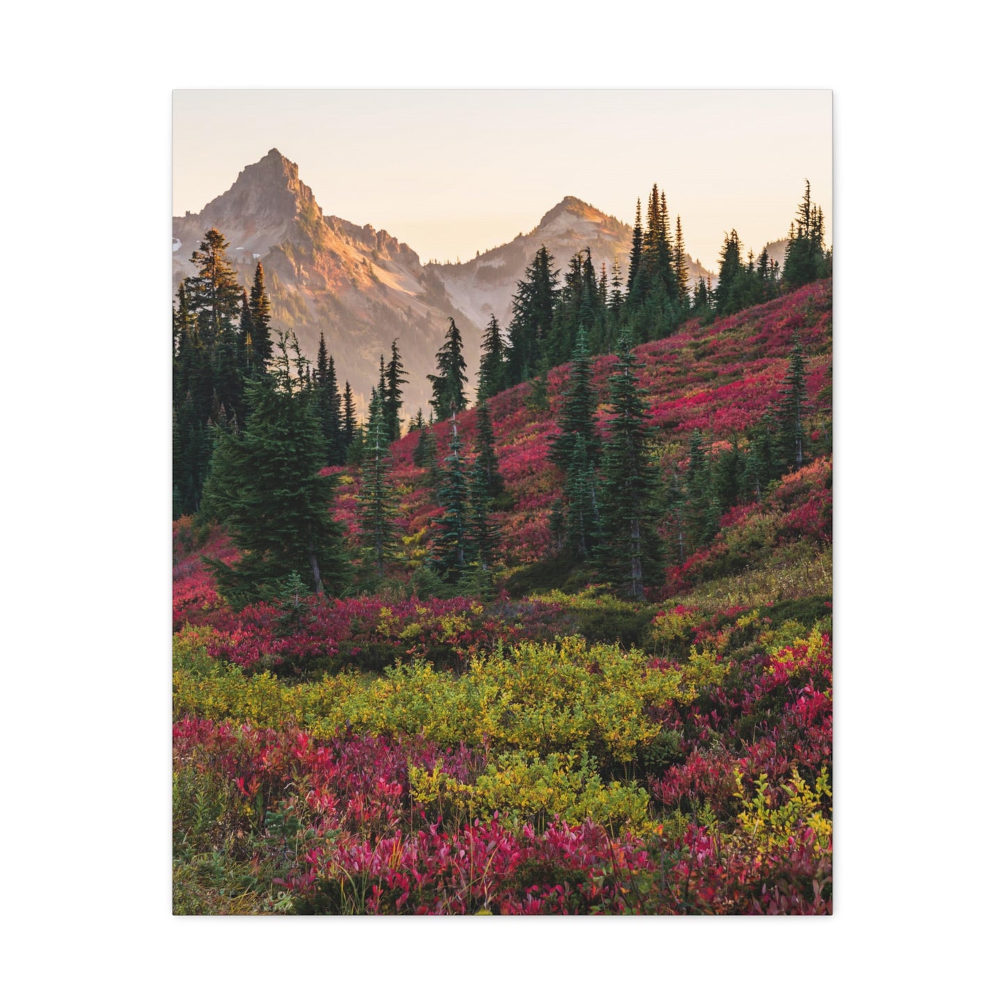 Spring Wildflowers, Cascade Mountains, Washington - Canvas Wall Print (Free Shipping)